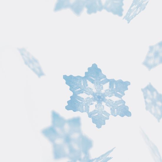 스티키리프_눈꽃(Blue,S)