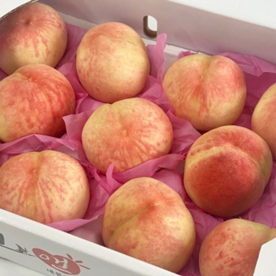 딱복 딱딱한 복숭아 털복숭아 4kg