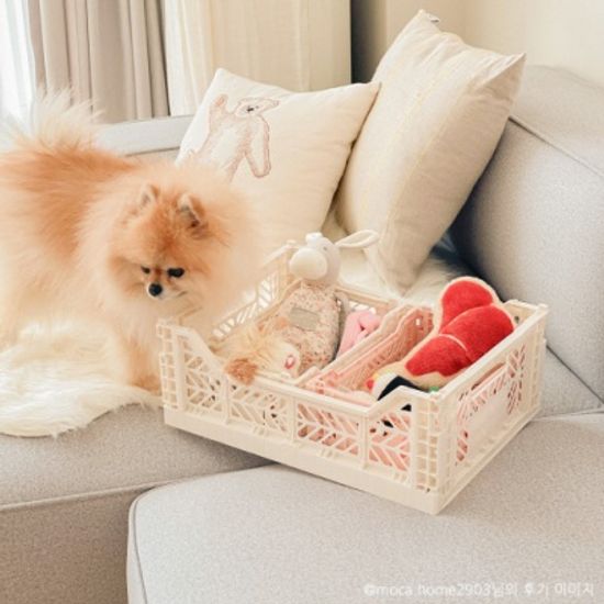 아이카사 폴딩박스 M (색상선택)