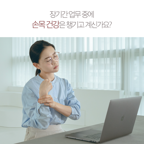 이코노미쿠스 손목보호 노트북 파우치 거치대 가방 
