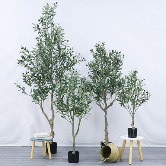 올리브나무 조화(150cm)