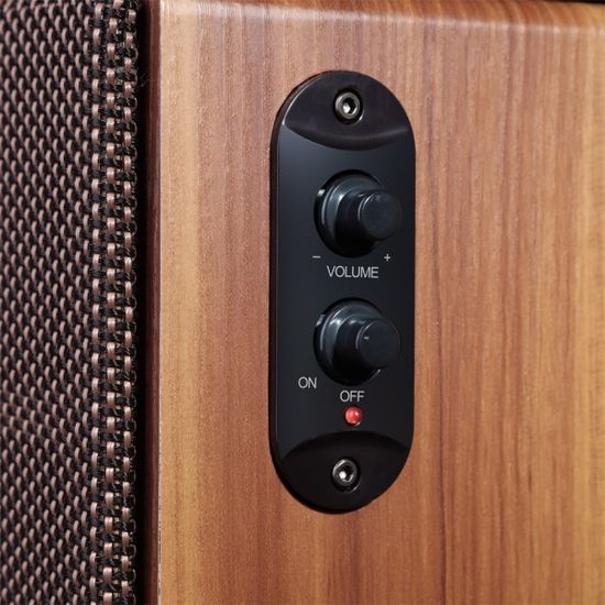 에이튜브 A101V 2채널 진공관 스피커