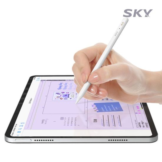 스카이 아이패드 호환 S 펜슬(크래들 세트) SP1