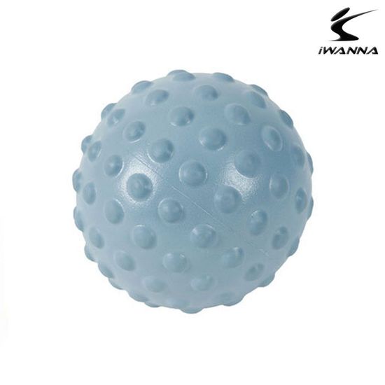 더스티블루 헬스 미니 마사지짐볼(WFJJWPW)
