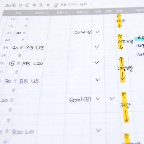 열기구 타고 하늘 여행 수유일지