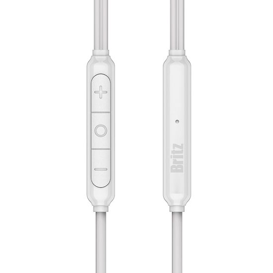 브리츠 BZ-WE900P C타입 유선 이어폰 볼륨조절 통화