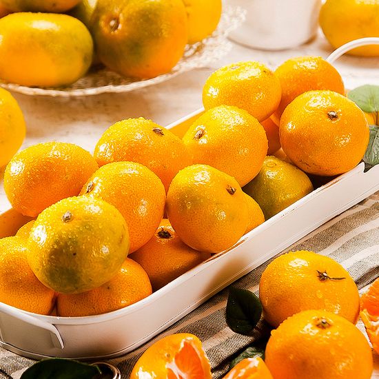 [고랑몰라] 노지 새코미 감귤 5kg (소과)2S