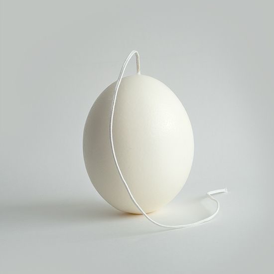 Ostrich egg candle 오스트리치 에그 캔들