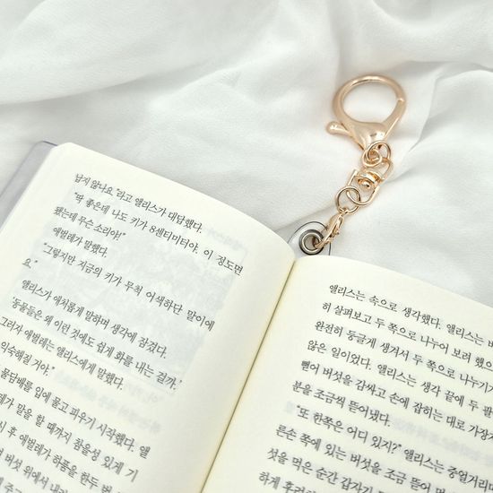 이상한 나라의 앨리스 북키링