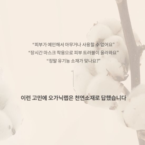 오가닉랩 유기농순면 피부트러블 마스크 덴탈소형30매