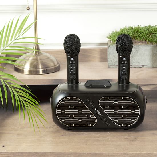 가정용 노래방 무선마이크 듀얼 / 블루투스 스피커