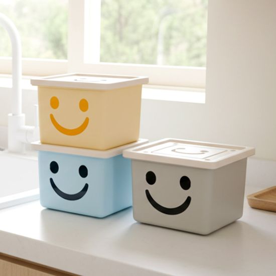 보노하우스 모던 미니 해피박스 2P 수납 정리함