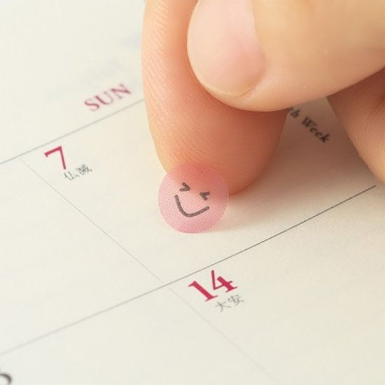 미도리 2019 DIARY SEAL 기분 - 표정