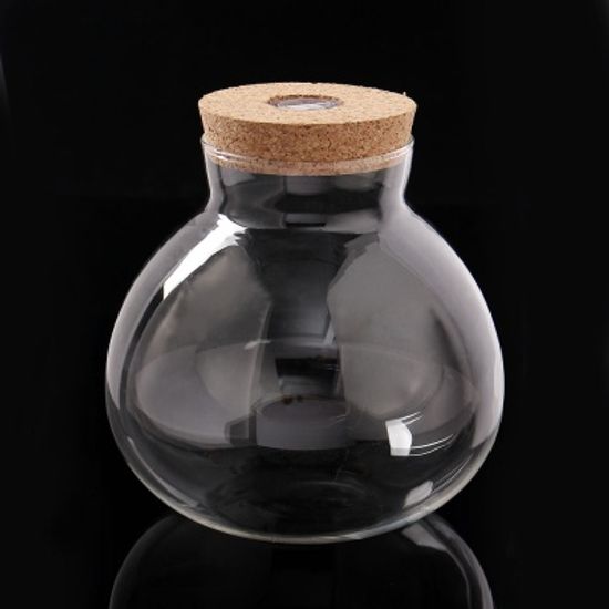 마리모 키우기 LED 유리병 반려식물 테라리움