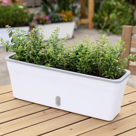 미니정원 자동급수 화분 다육이 상추 베란다 텃밭