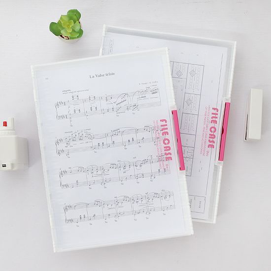 학교 학원 A4 반투명 파일케이스 대형 FC03