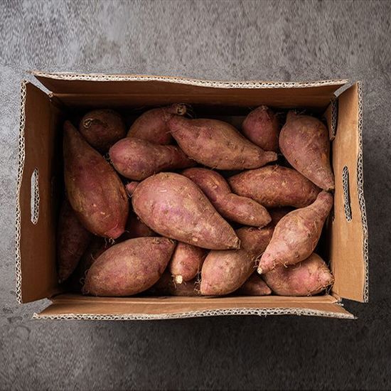 [대한민국농수산] 비세척 해남 꿀 고구마-[비세척] 꿀고구마 (특상) 5kg