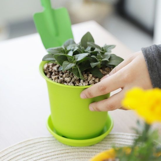 홈가드닝 미니화분 동그라미 4호