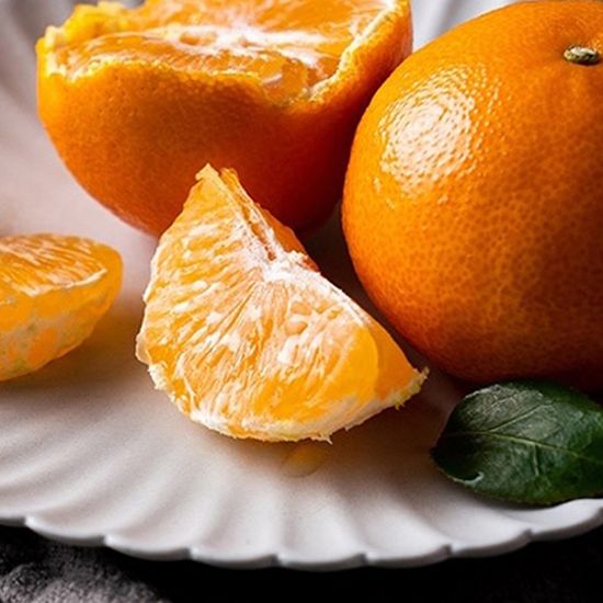 프리미엄 제주 천혜향 과일 선물 대용량 가정용 2kg