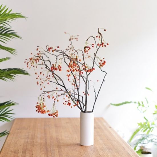 나도밤나무 인테리어 식물 생화 소품 그리너리