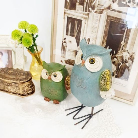 알버트 금빛 날개 부엉이 2종