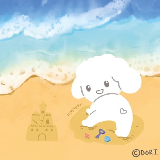 여름이라 신났도리