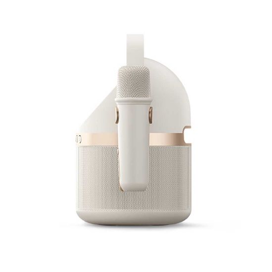 필립스 TAS2509 휴대용 블루투스 노래방 마이크 