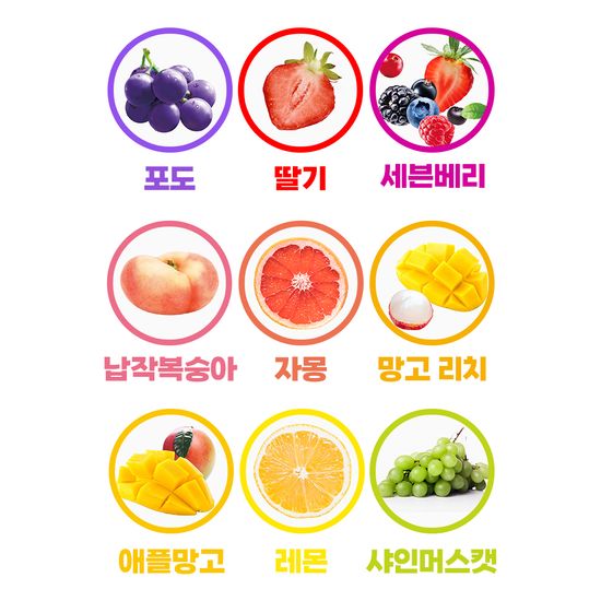 담터 포켓몬 과일 콤부차 10T (9종 택1)