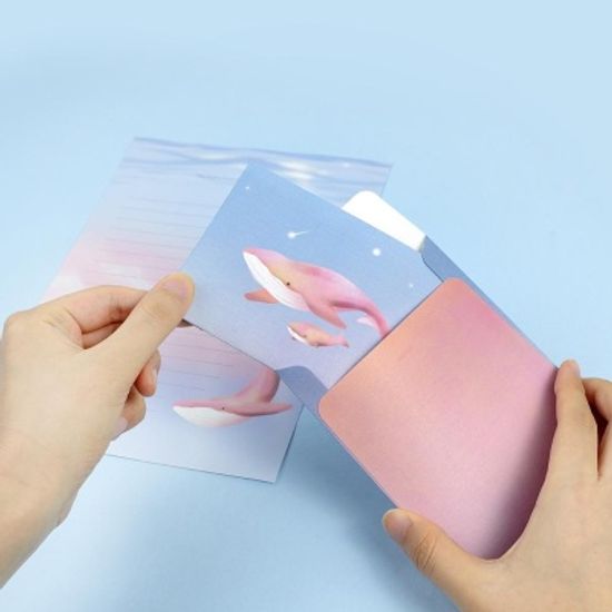 핑크풋 고래의꿈편지지