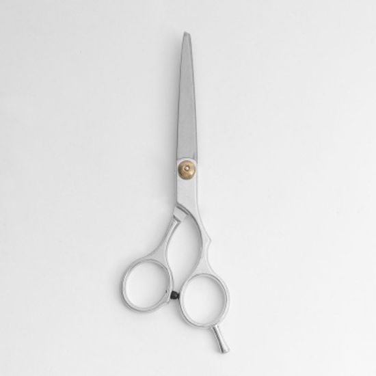 강아지 미용가위 / 애묘 애견가위