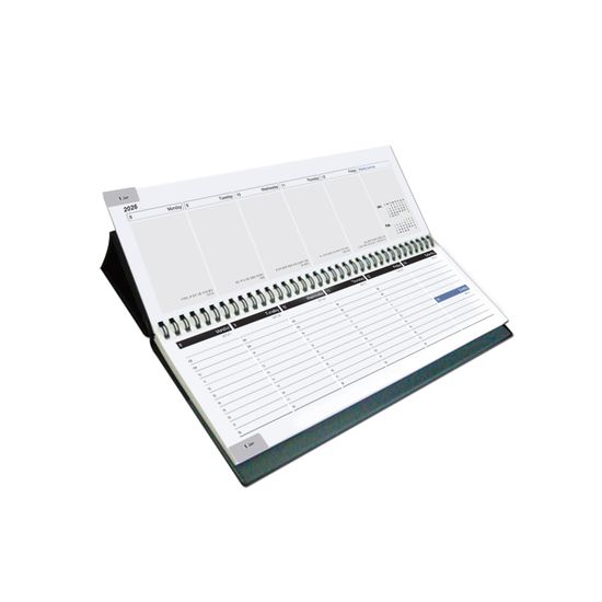 [2026 양지] 스탠딩 플랜 16