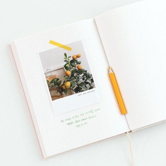 그레이스벨 나날 성경필사 잠언