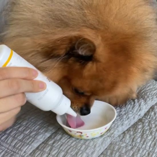 벨로펫 강아지 고양이 구강케어 프레쉬 댕글 냥글