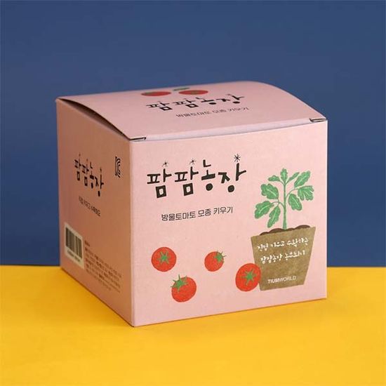 어린이집 식물키트 팜팜농장 방울토마토 모종키우기