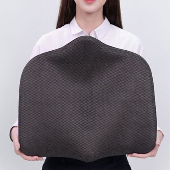 바른자세 애플쿠션