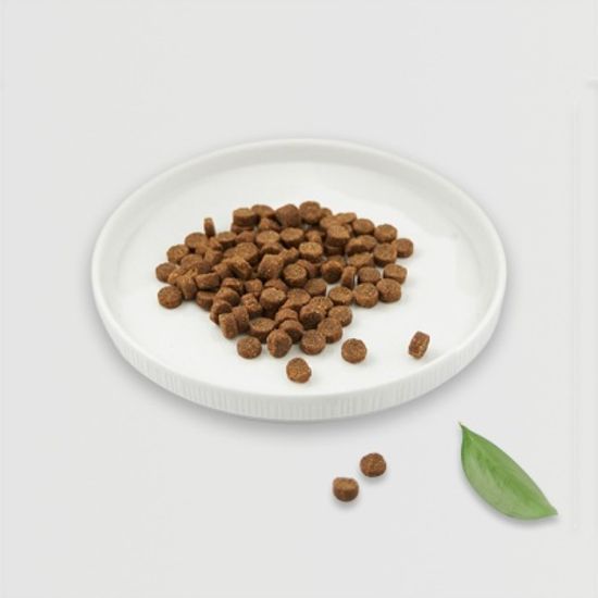 본사직배송 구푸 곤충 단백질 사료 눈물 알러지 