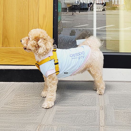레토 데일리 강아지옷 티셔츠 애견의류 LDR-T04