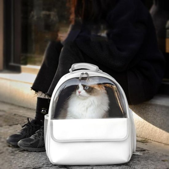 강아지 이동 가방 고양이 이동장 산책 백팩 케이지