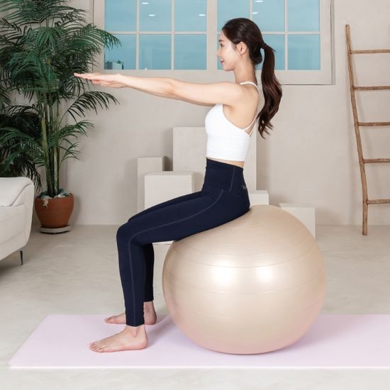 레토 안티버스트 짐볼 65cm 임산부운동 밸런스볼