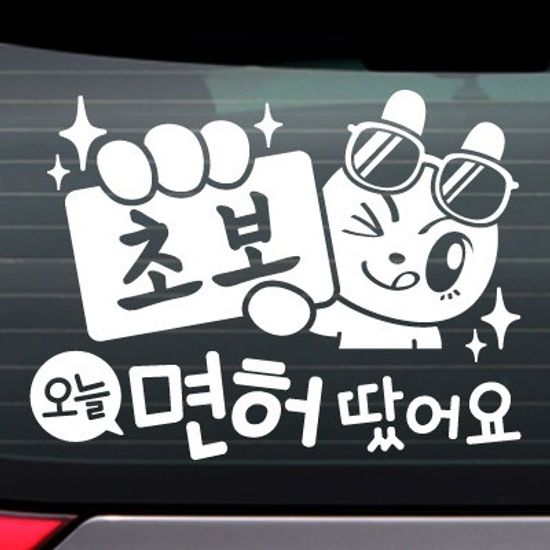 초보_오늘 면허 땄어요_제이래빗 [자동차스티커/초보운전스티커]
