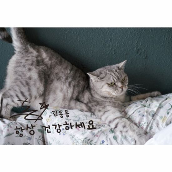 건강하세요 동동 엽서