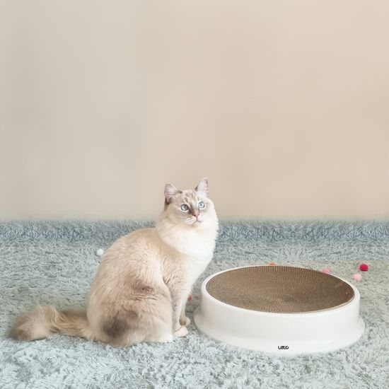 레토 고양이 원형 스크래쳐 특대형 50cm LPS-CS02