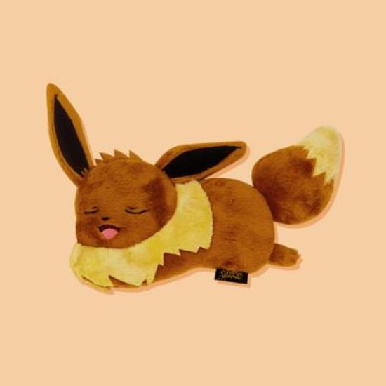 포켓몬 납작필통_이브이