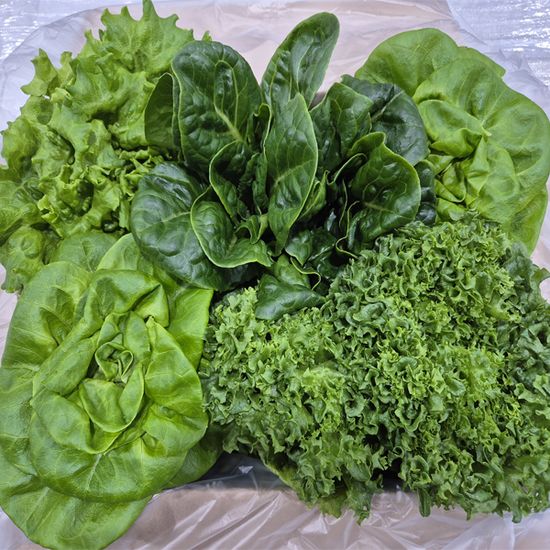 친환경 유러피안 샐러드 3종 600g 3개 (총 1.8kg)