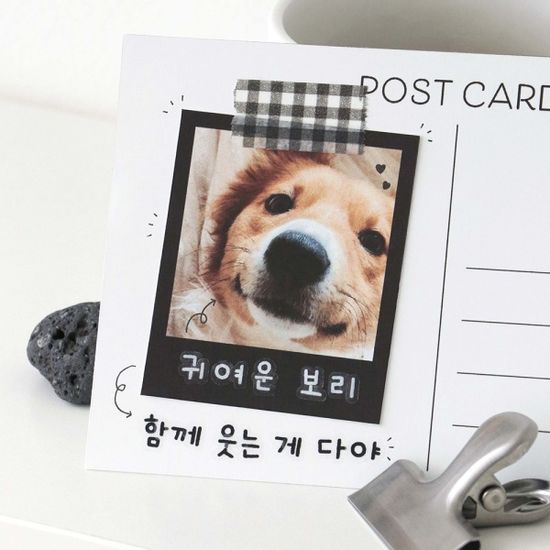 아이코닉 두들 한글 스티커팩