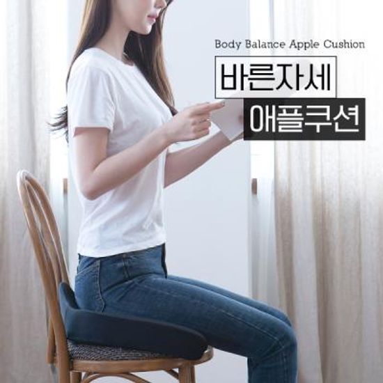 바른자세 애플쿠션