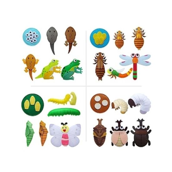 [청양토이] 동물의한살이(배추흰나비) [개/1] 366089