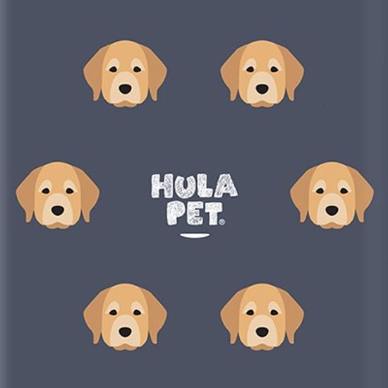 HULA PET PATTERN CASE (Golden Retriever) / 아이폰