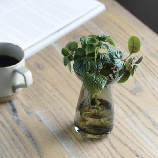 킨토 아쿠아 컬처화병 80mm (그레이)