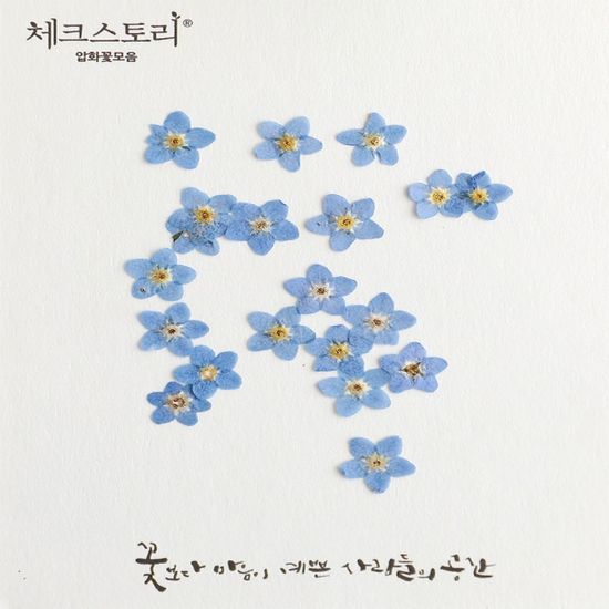 압화 꽃모음 - 꽃송이